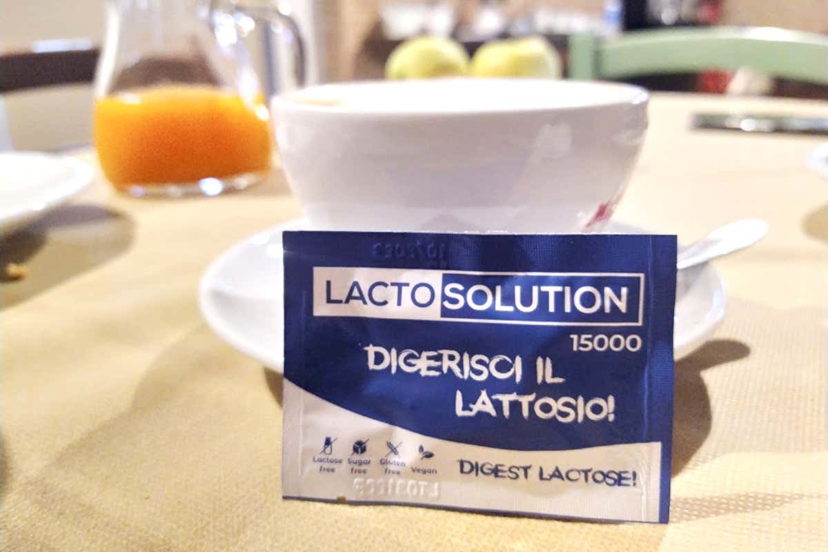 Mangiare (quasi) tutto: l’intolleranza al lattosio sta riscrivendo la cultura della tavola Mangiare (quasi) tutto: l’intolleranza al lattosio sta riscrivendo la cultura della tavola