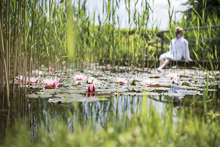 Il laghetto presso l'Hotel Tenuta Vinicola Stroblhof Luna di miele con brindisi Le proposte dei Vinum Hotels