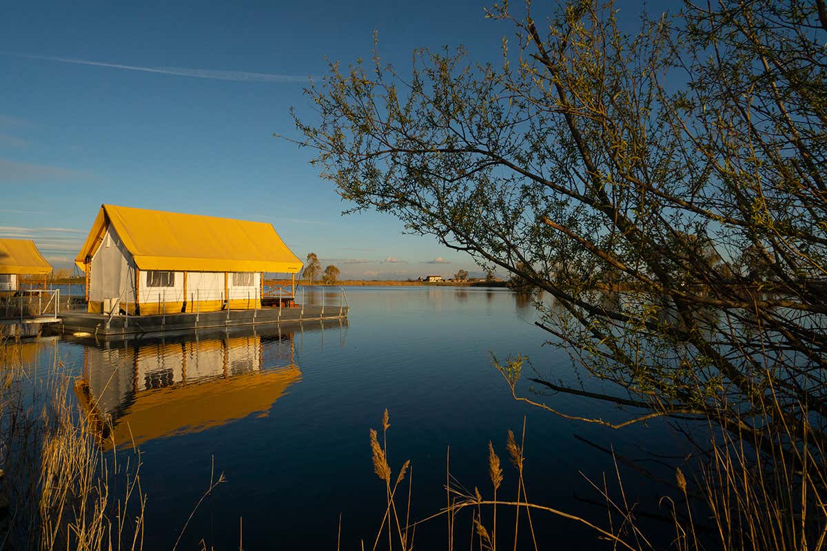 Nabi Resort & Glamping 