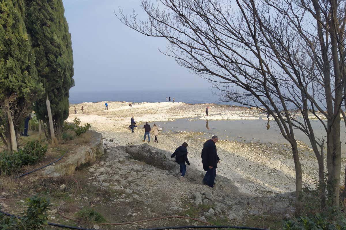 Siccità e aviaria aumenta la preoccupazione sul Lago di Garda