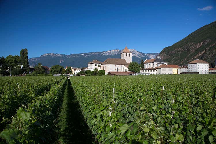 (Il Lagrein del vigneto Klosteranger La novit&agrave; di Muri Gries per l'estate 2018)