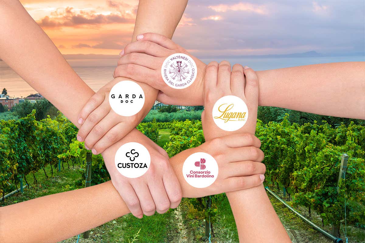 Patto del Benaco: i vini del Garda per la prima volta insieme in una fiera