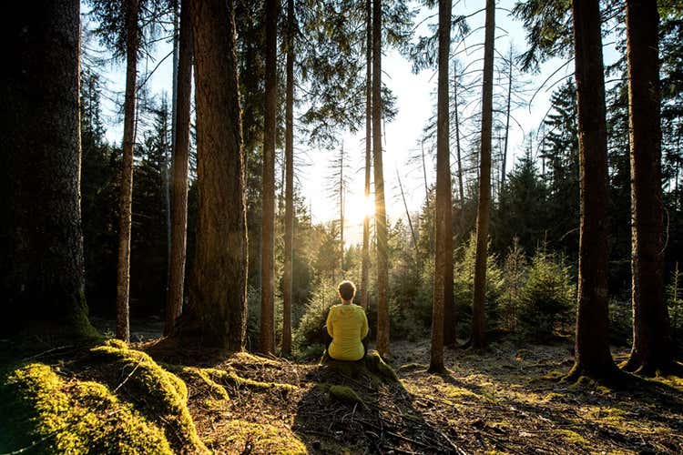Sessioni di yoga al Lamm di Castelrotto. Foto: Helmuth Rier Yoga e meditazione in vacanza? Ecco gli indirizzi pi&ugrave; spettacolari