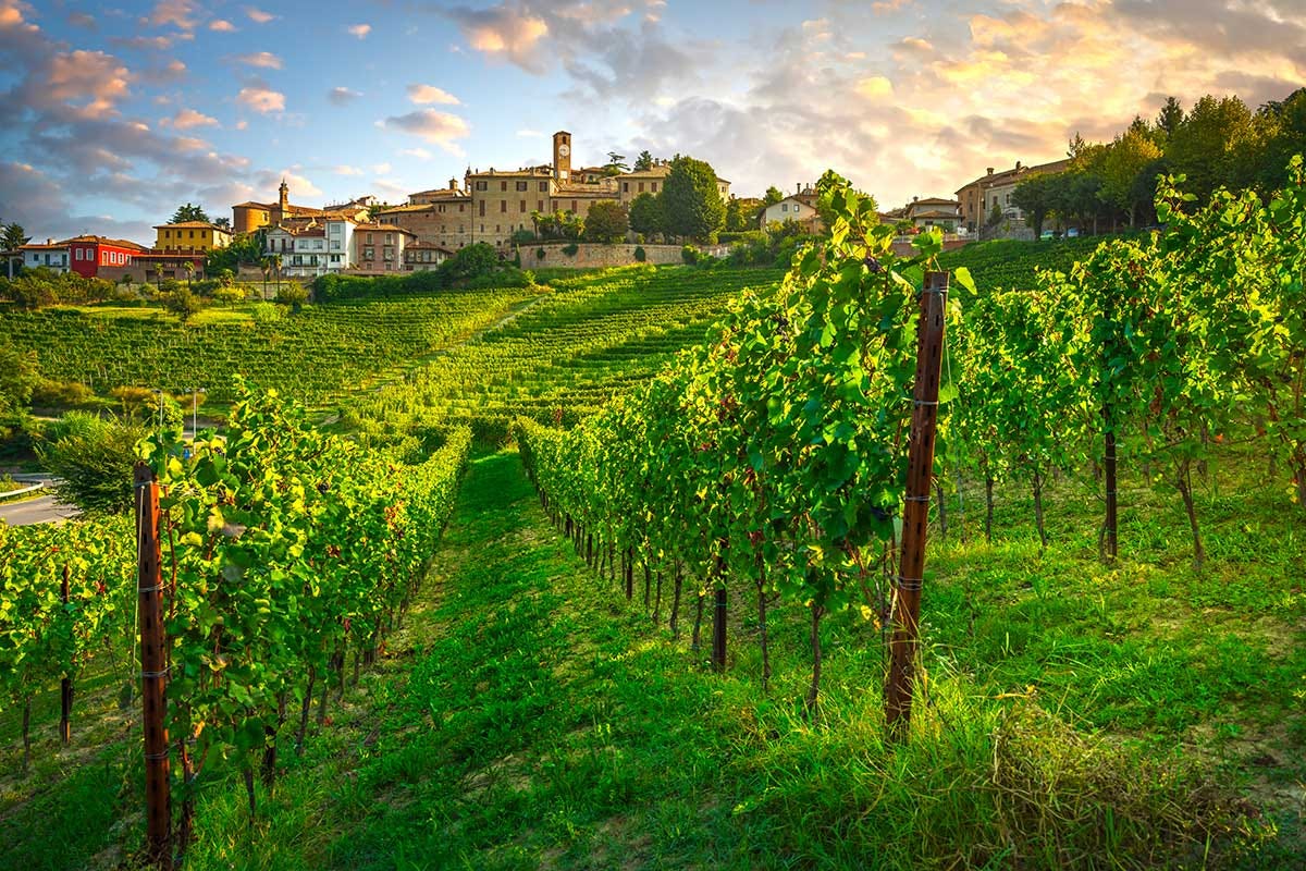Langhe, terra di grandi vini apprezzati in tutto il mondo