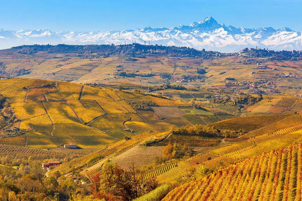 Le Langhe Paesaggio: un sistema da tutelare che vale 21 miliardi