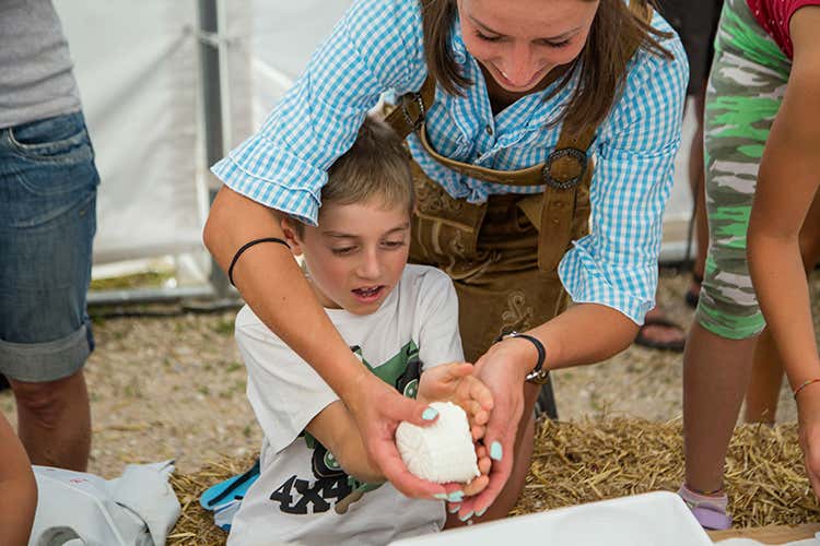 Due giorni per scoprire mestieri, cucina e natura del Trentino - Latte in festa in Alpe Cimbra Due giorni tra assaggi e trekking Due giorni per scoprire mestieri, cucina e natura del Trentino - Latte in festa in Alpe Cimbra Due giorni tra assaggi e trekking