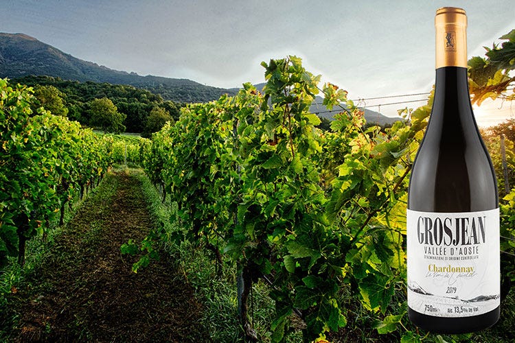 Chardonnay Vallée d'Aoste Doc Le Vin de Michel 2019 Le Vin de Michel, eccellenza bio della valdostana Grosjean Vins