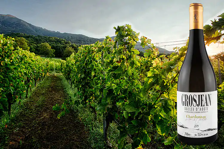 Chardonnay Vall&eacute;e d'Aoste Doc Le Vin de Michel 2019 Le Vin de Michel, eccellenza bio della valdostana Grosjean Vins