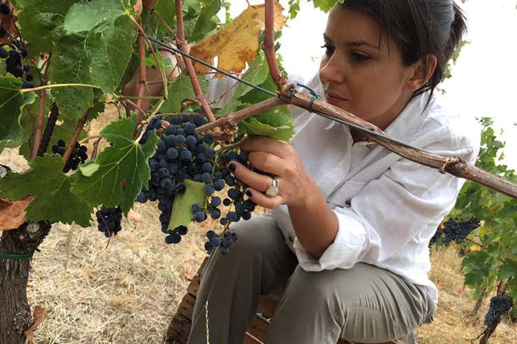 Le aziende del food sbarcano online Ma servono strategie di marketing