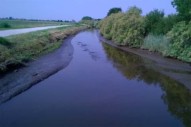 Le propriet&agrave; del Radicchio di Chioggia Igp al centro della cardio-cena del Consorzio