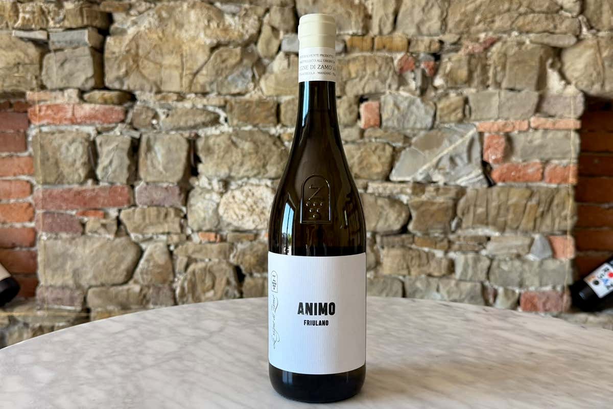 Il Friulano in 5 micro-vinificazioni biologiche secondo Le Vigne di Zamò Il Friulano in 5 micro-vinificazioni biologiche secondo Le Vigne di Zamò