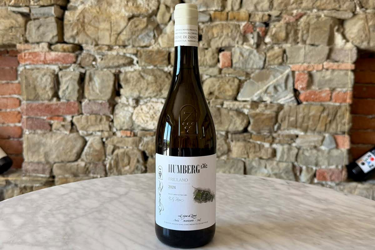 Il Friulano in 5 micro-vinificazioni biologiche secondo Le Vigne di Zamò Il Friulano in 5 micro-vinificazioni biologiche secondo Le Vigne di Zamò