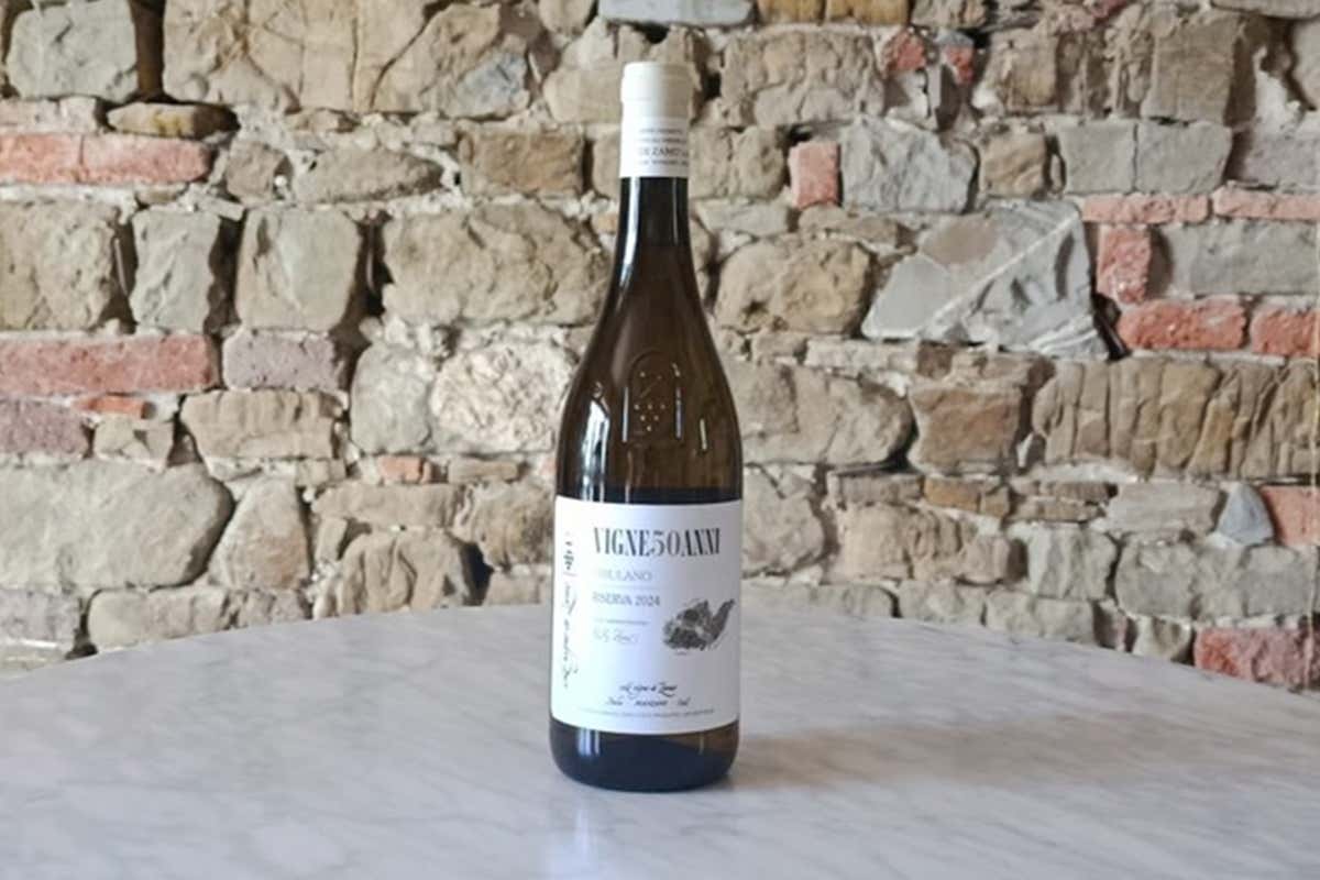 Il Friulano in 5 micro-vinificazioni biologiche secondo Le Vigne di Zamò 