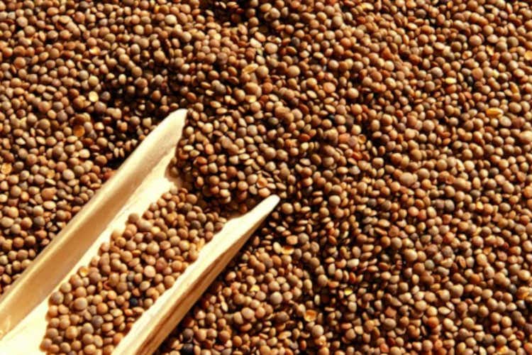 Lenticchie: dalla tradizione di capodanno a simbolo di salute tutto l’anno