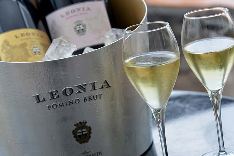 (Leonia Pomino Brut Frescobaldi esprime la voglia di nuove sfide)