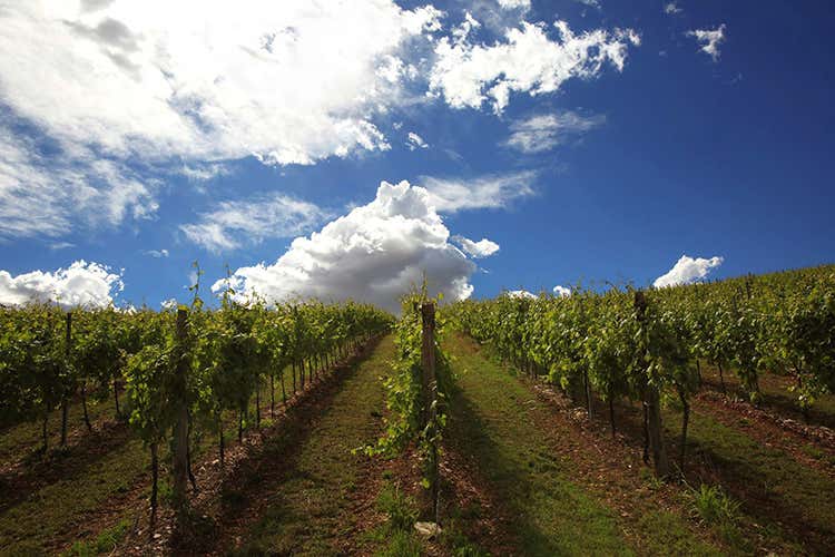 Lessini Durello Giannitessari Intensi momenti di festa Lessini Durello Giannitessari Intensi momenti di festa