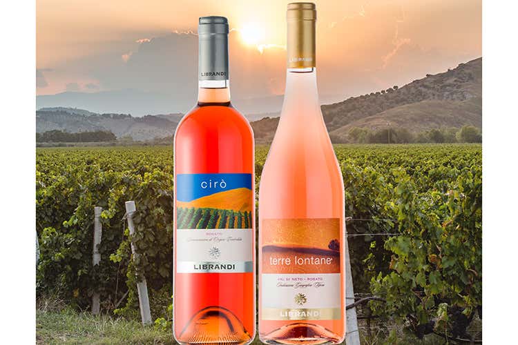 Cir&ograve; rosato Doc e Terre Lontane Val di Neto Igt (Librandi, vini ros&eacute; tra storia millenaria e modernit&agrave;)