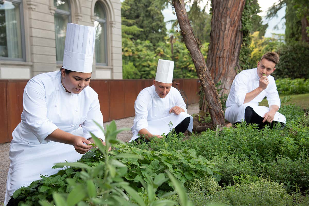 Lido Palace. Foto: Francesca Bocchia Cosa “cresce” al ristorante? I migliori locali italiani con l’orto