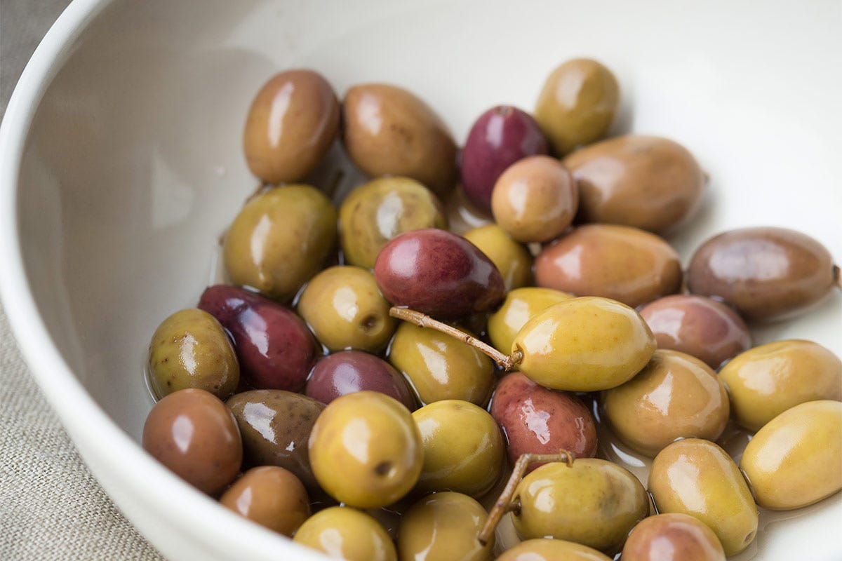 Le olive liguri, note per dar vita a grandi oli evo