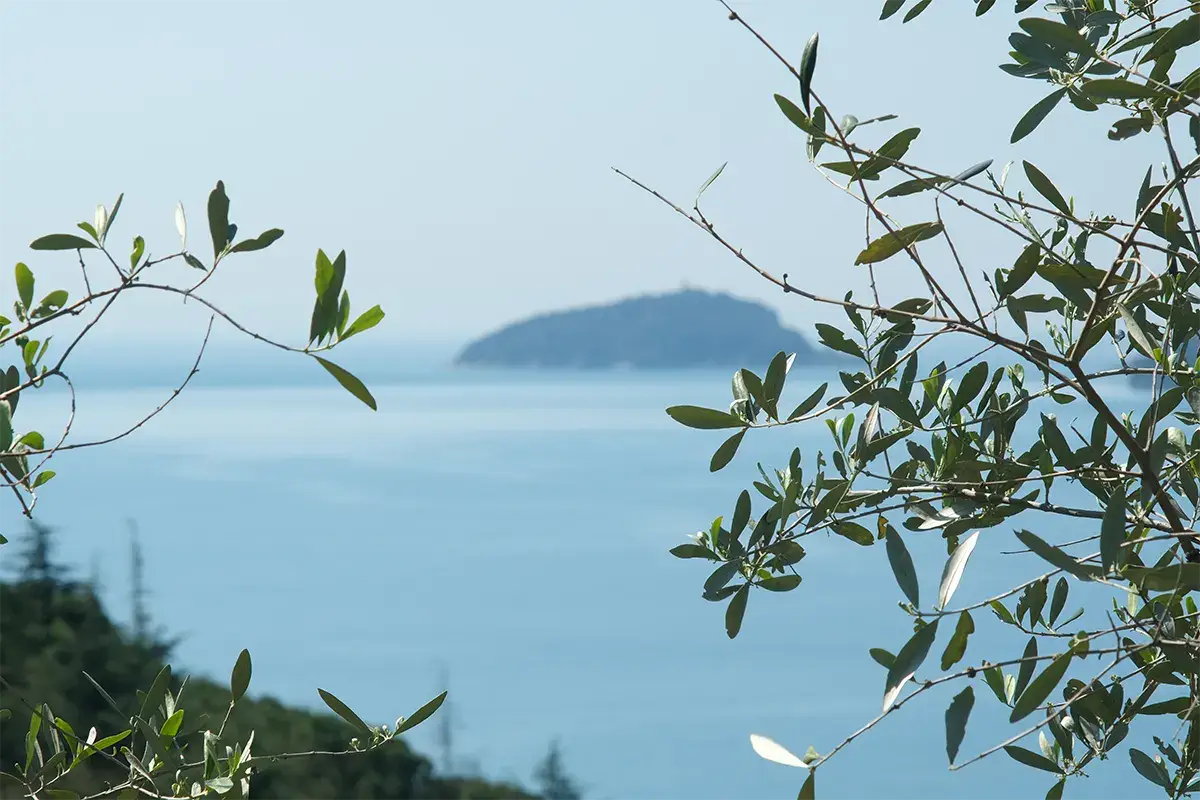 Una terra da visitare, per le sue bellezze naturali e la sua enogastronomia