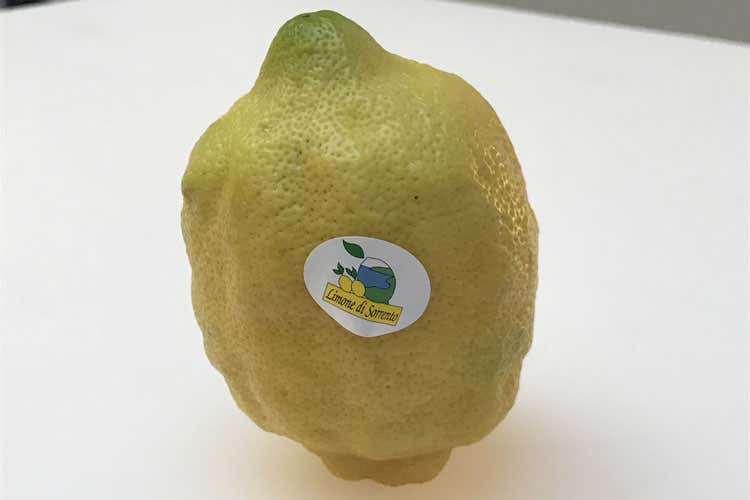 (Limoncetta di Sorrento conquista Milano Via della Spiga diventa la strada dei limoni) (Limoncetta di Sorrento conquista Milano Via della Spiga diventa la strada dei limoni)