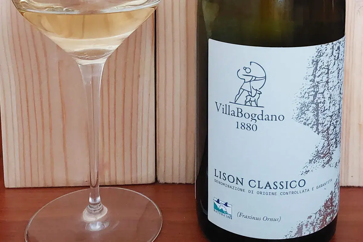 Lison Classico Docg 2020 Villa Bogdano 1880 &pound;$Ripartiamo dal vino:$&pound; Lison Classico Docg 2020 Villa Bogdano 1880