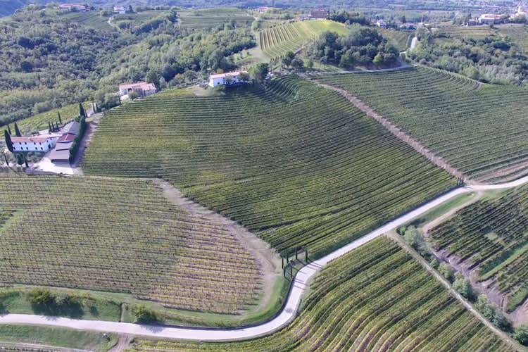 (Livon punta sulla sostenibilit&agrave; Tradizione e innovazione alla base)