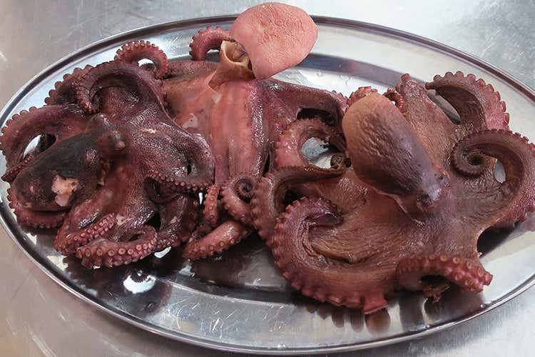 Polpo fresco - Lo Stagnone, cucina siciliana tra ristorante e gastronomia