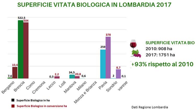 (Lombardia pronta al Vinitaly Un'edizione all'insegna del bio) (Lombardia pronta al Vinitaly Un'edizione all'insegna del bio)