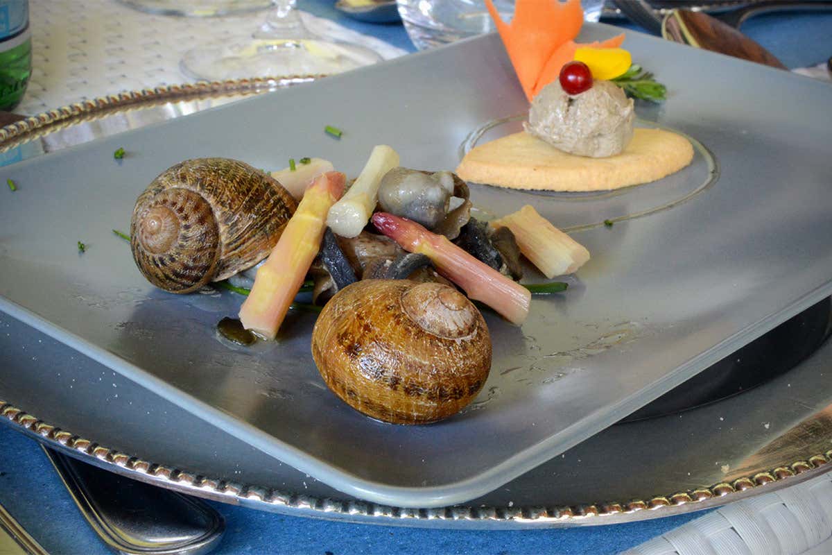 lumache dell&rsquo;Azienda Agricola 2 M