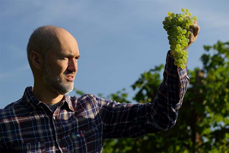 Lorenzo Palla - Nell’Asolo Prosecco Docg Cuvée Indigene i sentori primari del vitigno d’origine Lorenzo Palla - Nell’Asolo Prosecco Docg Cuvée Indigene i sentori primari del vitigno d’origine