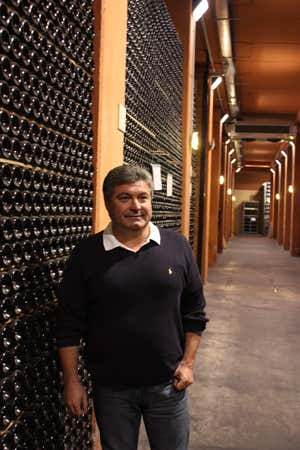 Loris Biatta