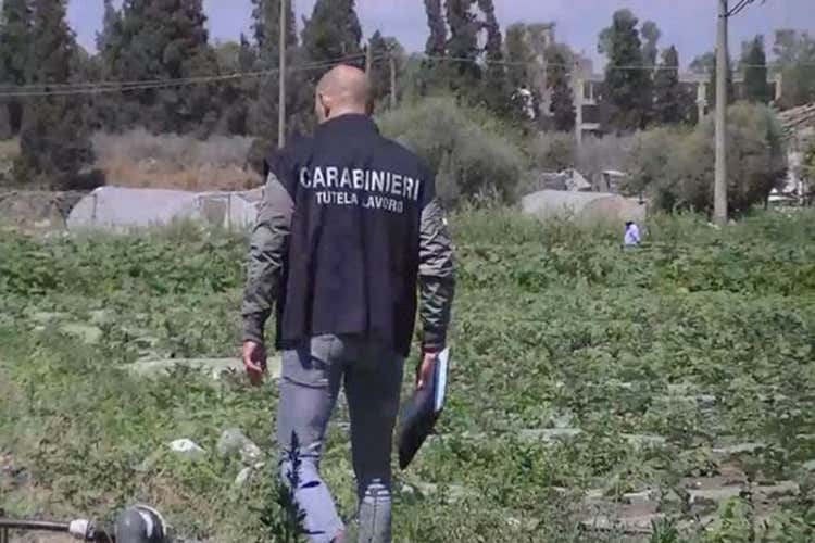 Per la Bellanova ci sono solo filiere pulite, a praticare azioni illegali sono le singole aziende (Lotta al caporalato, Bellanova: Due strumenti di legge a inizio anno) Per la Bellanova ci sono solo filiere pulite, a praticare azioni illegali sono le singole aziende (Lotta al caporalato, Bellanova: Due strumenti di legge a inizio anno)