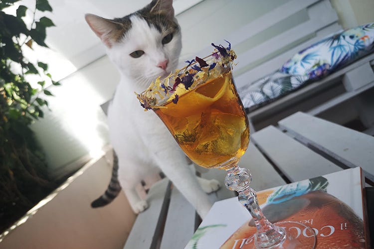 Y7, il cocktail