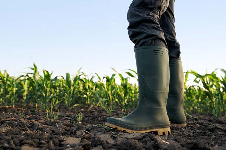 Fare San Martino è un modo di dire usato nel territorio a vocazione agricola della pianura Padana (Luci e ombre sull'annata agraria Oggi è San Martino, si fa il punto) Fare San Martino è un modo di dire usato nel territorio a vocazione agricola della pianura Padana (Luci e ombre sull'annata agraria Oggi è San Martino, si fa il punto)