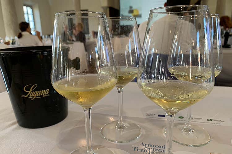 Calici di Lugana &ldquo;Armonie senza tempo&rdquo;: Lugana in passerella a Milano