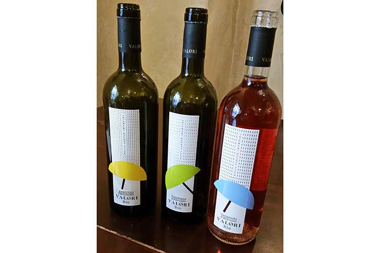 (Luigi Valori, una vita dedicata al vino tra terra, vigna e il passar delle stagioni)