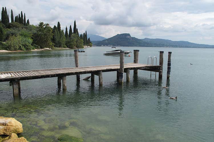 (I luoghi dell'olio Dop del Garda Un itinerario tra gusto e tradizione)