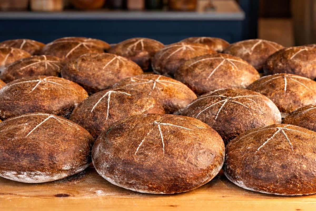 Non solo pasta: Macino produce anche pane e lievitati