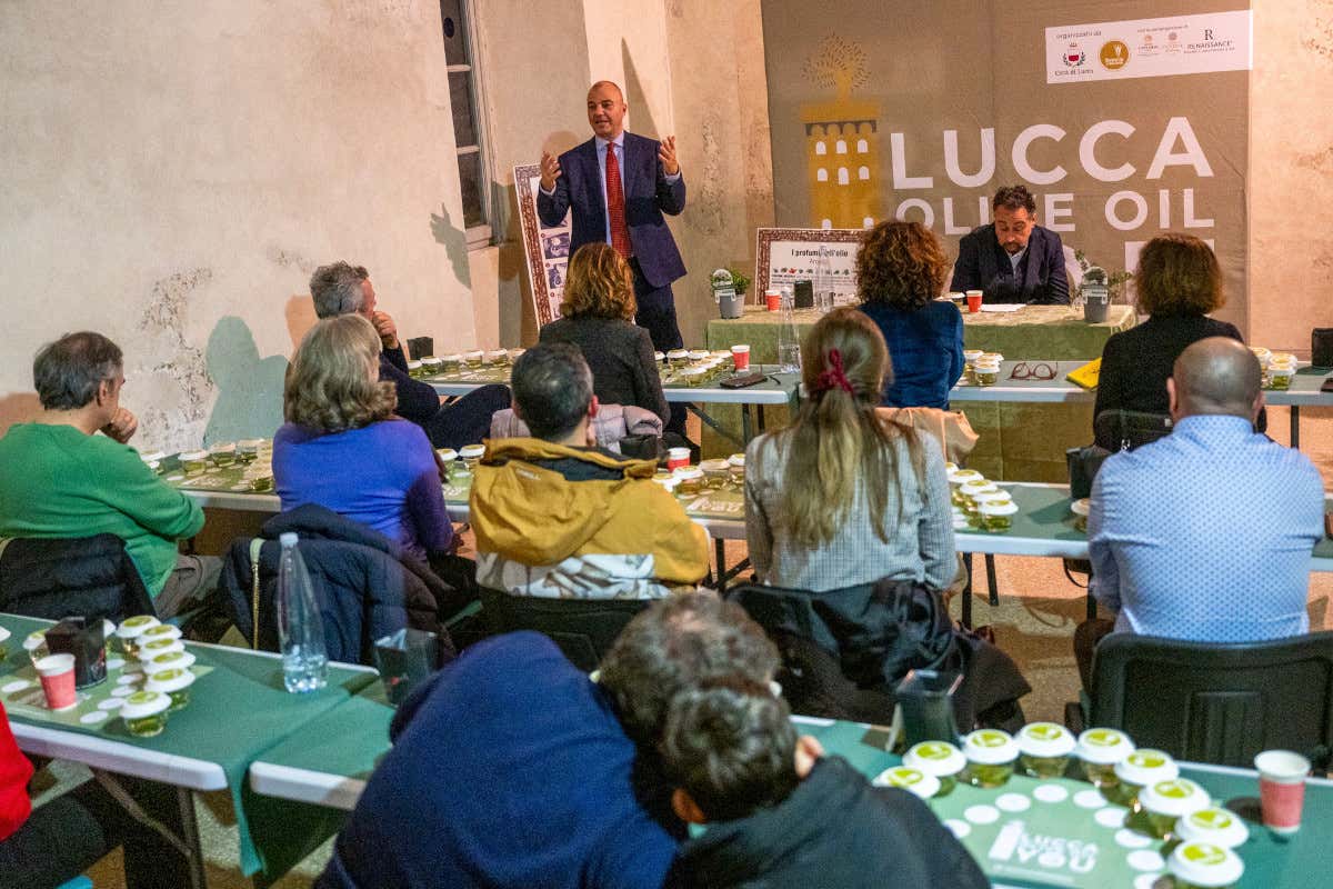 Lucca Olive Oil You 2026: oltre 60 etichette per il weekend dell’extravergine