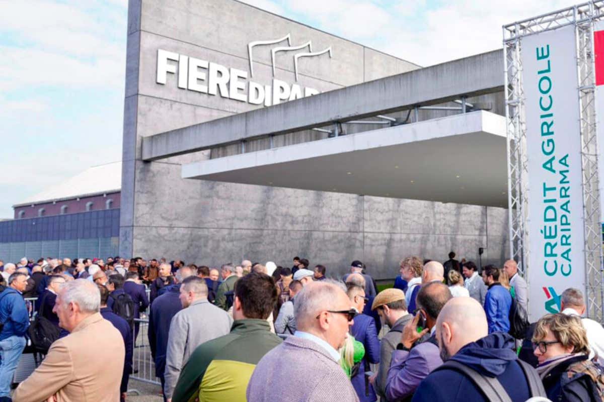 Fiere di Parma chiude il 2025 in crescita e consolida il piano di sviluppo Fiere di Parma chiude il 2025 in crescita e consolida il piano di sviluppo