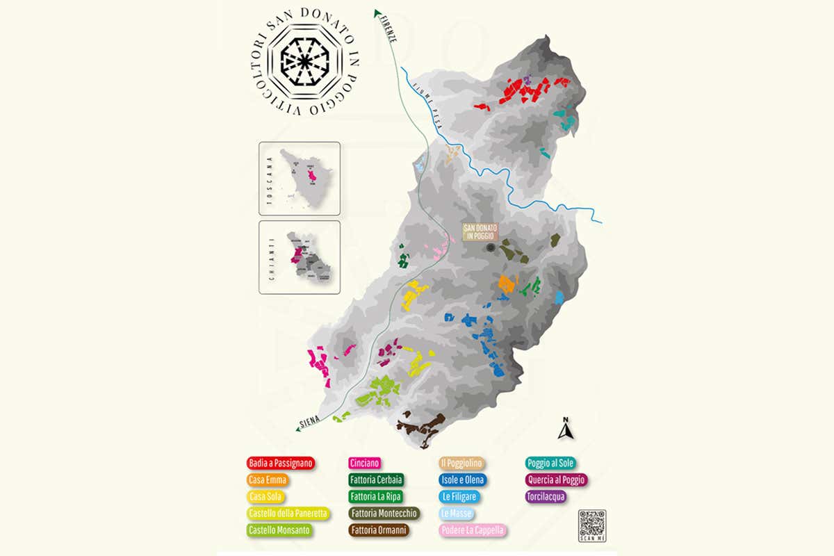 Unità e diversità espressive nei Chianti Classico di San Donato in Poggio