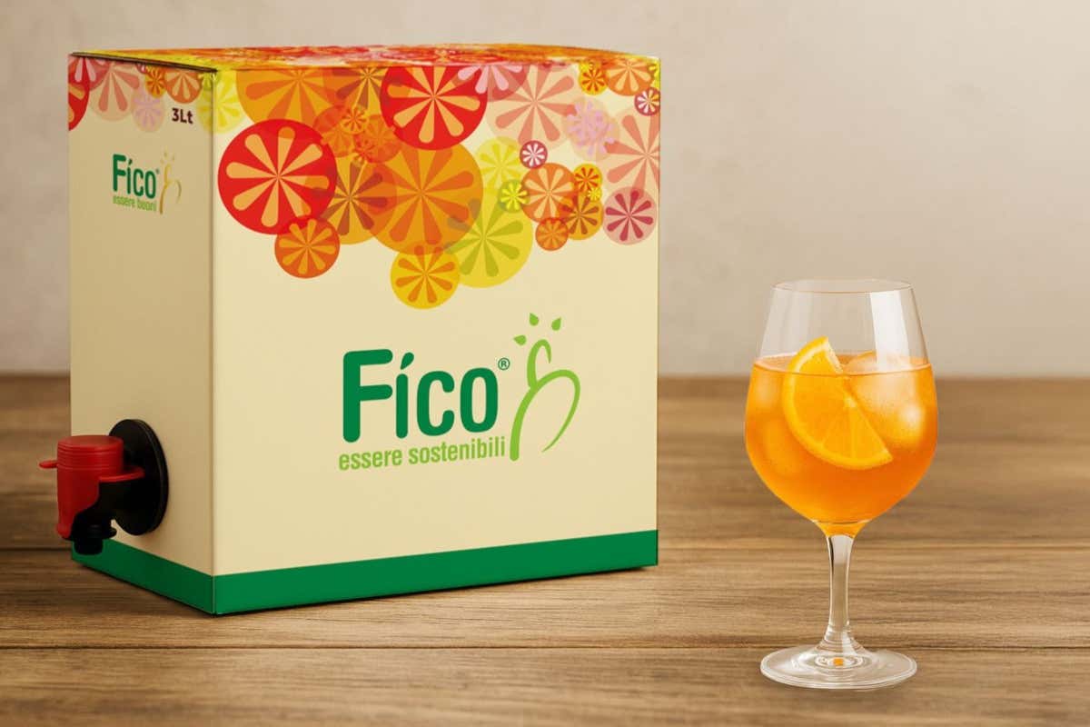 Vino tra vetro e alternative: la ristorazione italiana non segue la svolta sostenibile Vino tra vetro e alternative: la ristorazione italiana non segue la svolta sostenibile