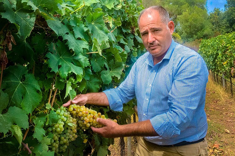 Massimo Ruggero Wine Spectator, 90 punti a Spèra Premiato il Vermentino di Siddùra