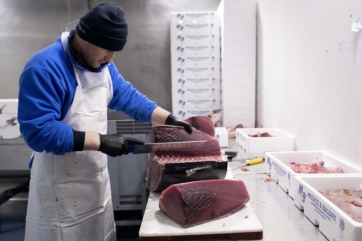 A Natale il prezzo del pesce cresce: il Mercato Ittico di Milano spiega quanto e perché