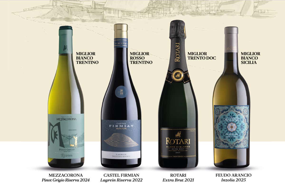 Cantina Rotari a Vinitaly 2026: tutta la gamma AlpeRegis da scoprire