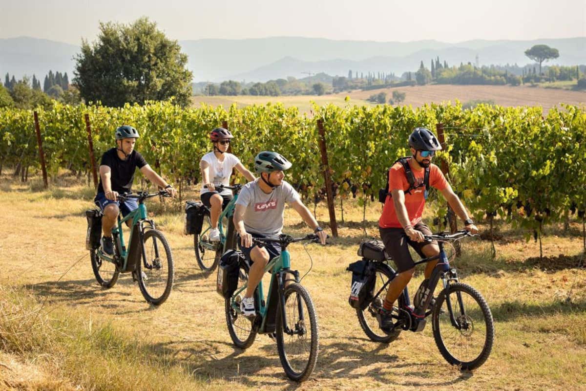 Enoturismo, le differenze regionali in Italia: da Nord a Sud, ecco cosa cambia