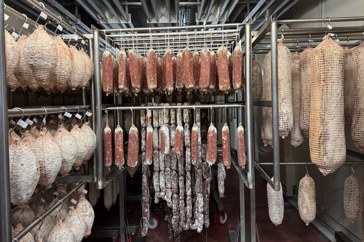 Monti Frentani in bici: un itinerario tra natura, storia e prodotti enogastronomici Monti Frentani in bici: un itinerario tra natura, storia e prodotti enogastronomici