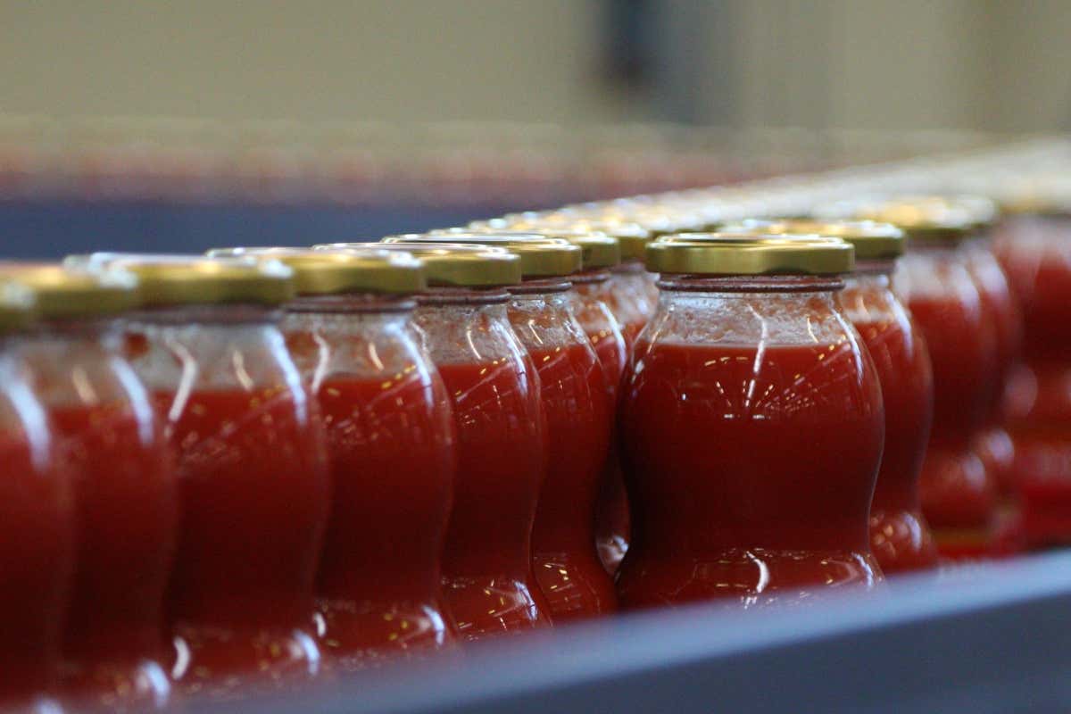 Rodolfi Mansueto completa il rebranding con il debutto della gamma Food Service Rodolfi Mansueto completa il rebranding con il debutto della gamma Food Service