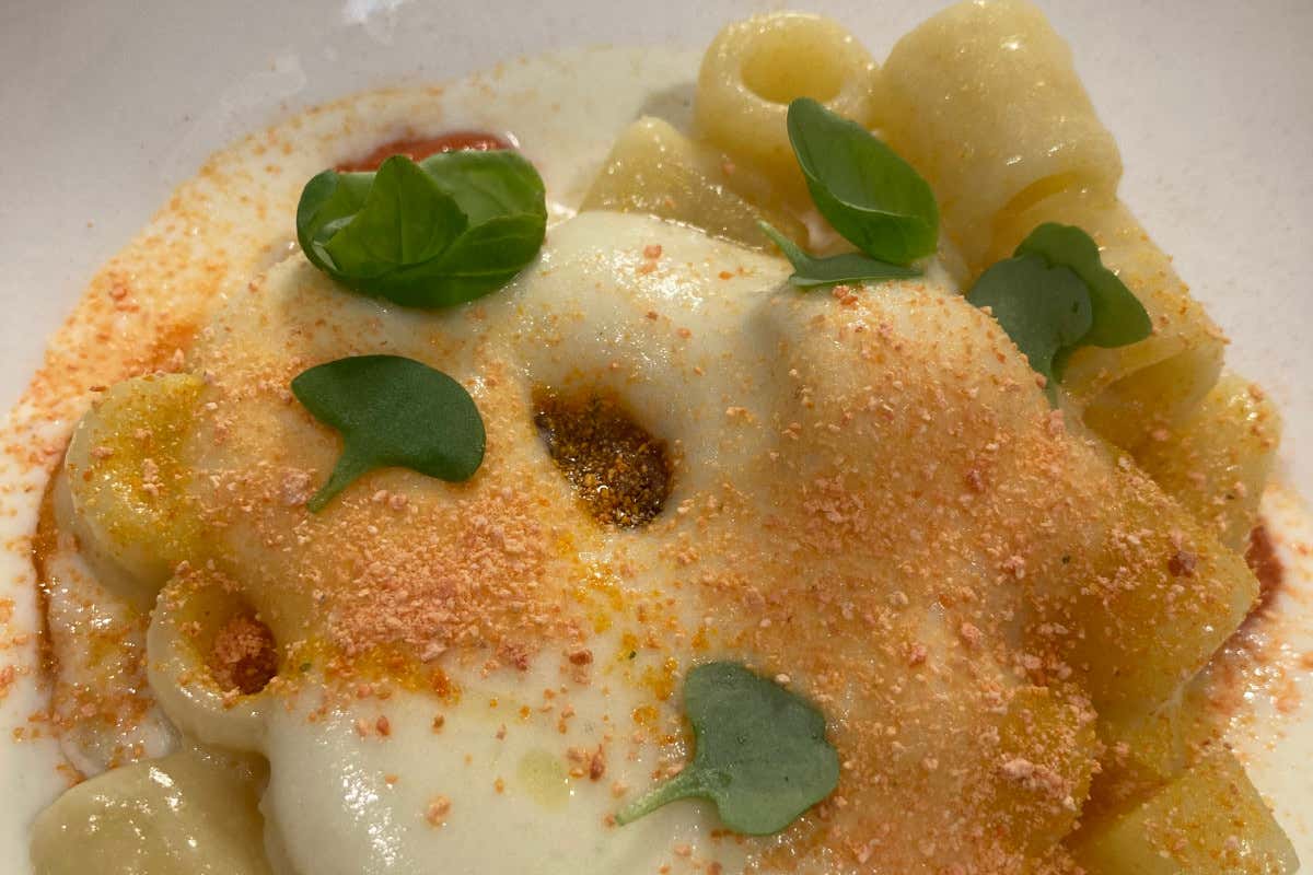 Chef for Women: l’alta cucina di Monza a sostegno delle donne vittime di violenza